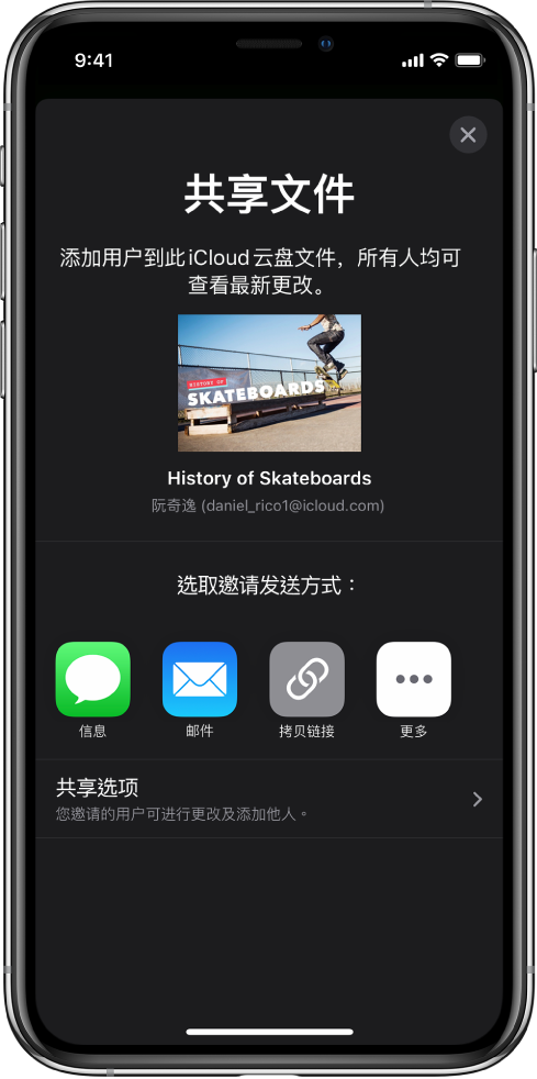 “添加用户”屏幕,显示要共享的演示文稿的图像。其下方是邀请发送方式的按钮,包括“信息”、“邮件”和“拷贝链接”等。底部是“共享选项”按钮。