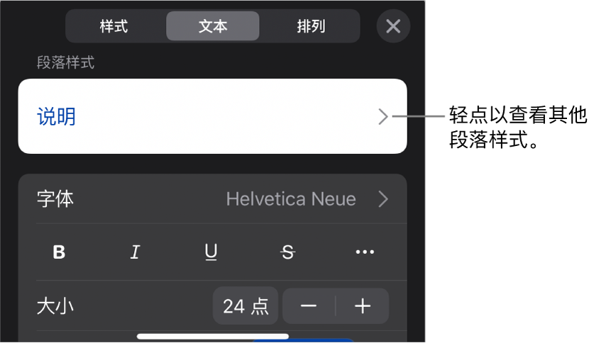 显示文本控制的“格式”菜单,用于设定段落和字符样式、字体、大小和颜色。