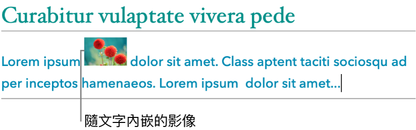 影像隨文字內嵌。
