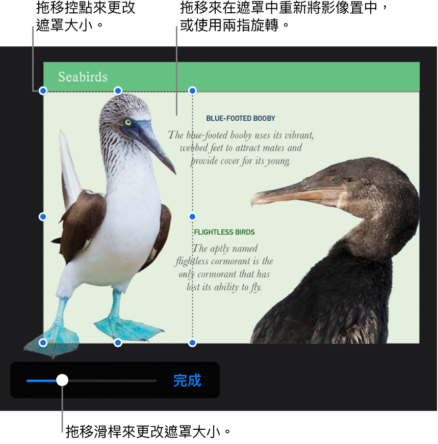 照片底部的遮罩滑桿。