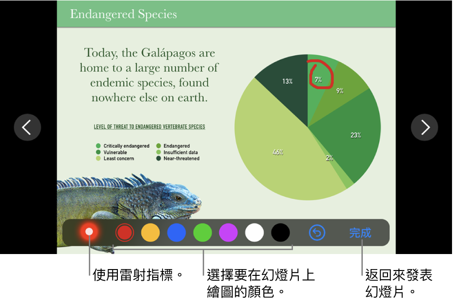 幻燈片圖解模式中的幻燈片顯示雷射筆和顏色選取控制項目。