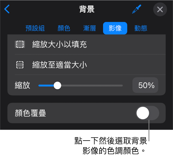 「背景」控制項目底部為設為幻燈片背景的影像和「顏色覆疊」控制項目。
