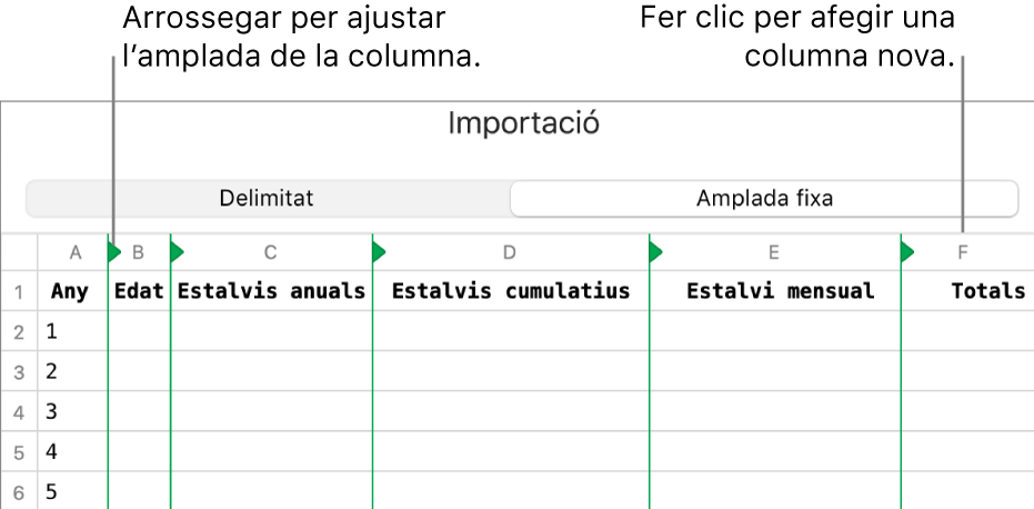 Els paràmetres d’importació d’un arxiu de text d’amplada fixa.