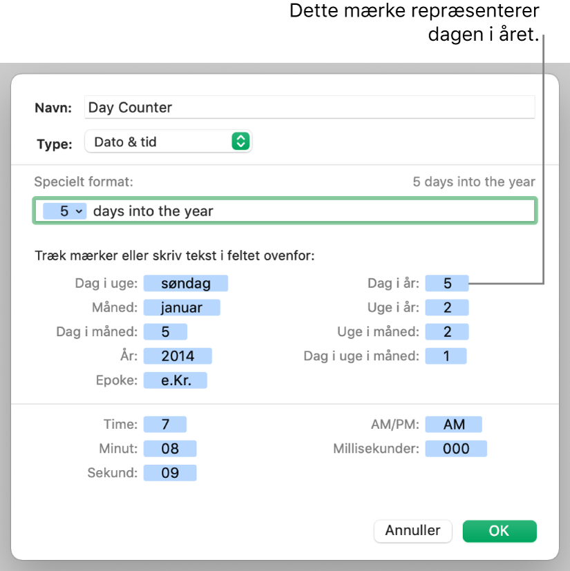 Specielt format til dato- og tidsceller.