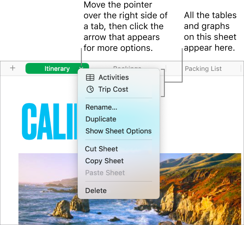 A spreadsheet tab with the shortcut menu open, showing options including Duplicate.