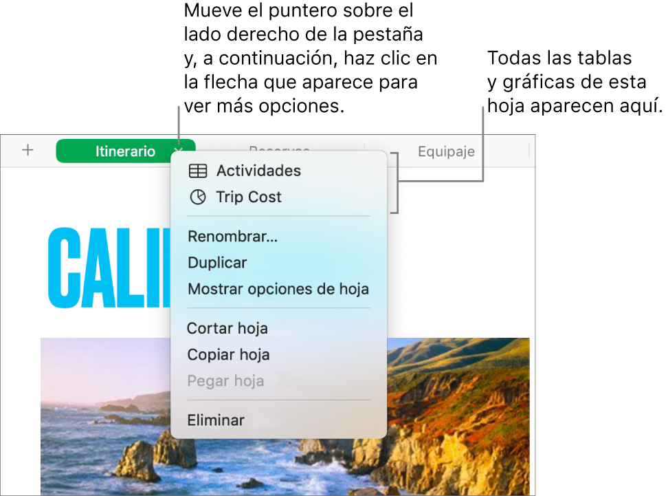 Una pestaña de hoja de cálculo con el menú de función rápida abierto, donde se muestran opciones como Duplicar.