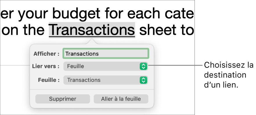 Les commandes de l’éditeur de liens avec un champ Affichage, le menu contextuel Lien vers (destination : Feuille) et le menu contextuel Feuille (une feuille intitulée Responsabilités sélectionnée). Les boutons Supprimer et Accéder à se trouvent au bas de la fenêtre contextuelle.