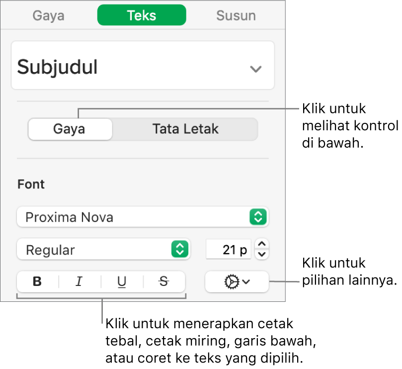 Kontrol Gaya di bar samping dengan keterangan pada tombol Tebal, Miring, Garis Bawah, dan Coret.