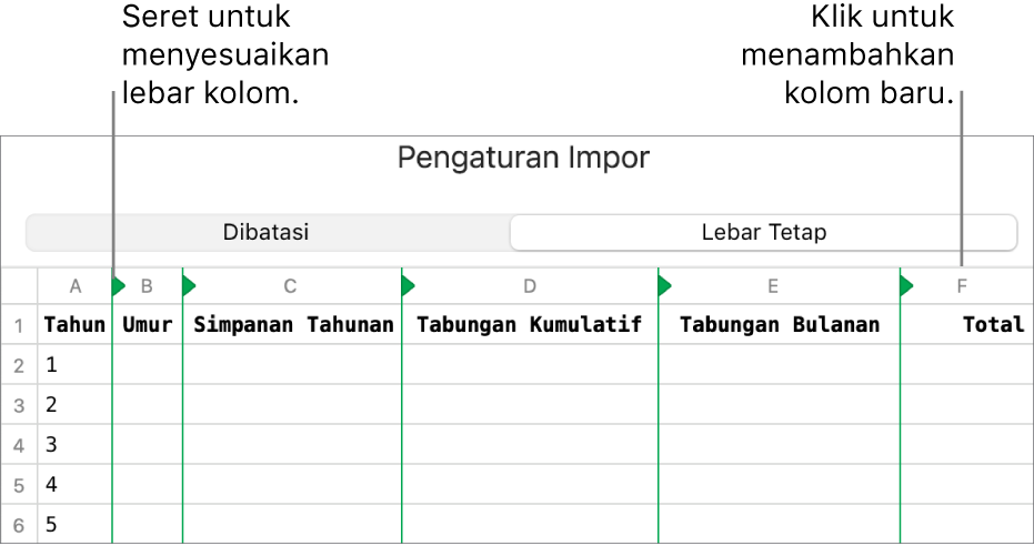 Pengaturan impor untuk file teks lebar tetap.