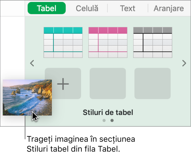 Tragerea unei imagini în stilurile de tabel pentru a crea un nou stil.