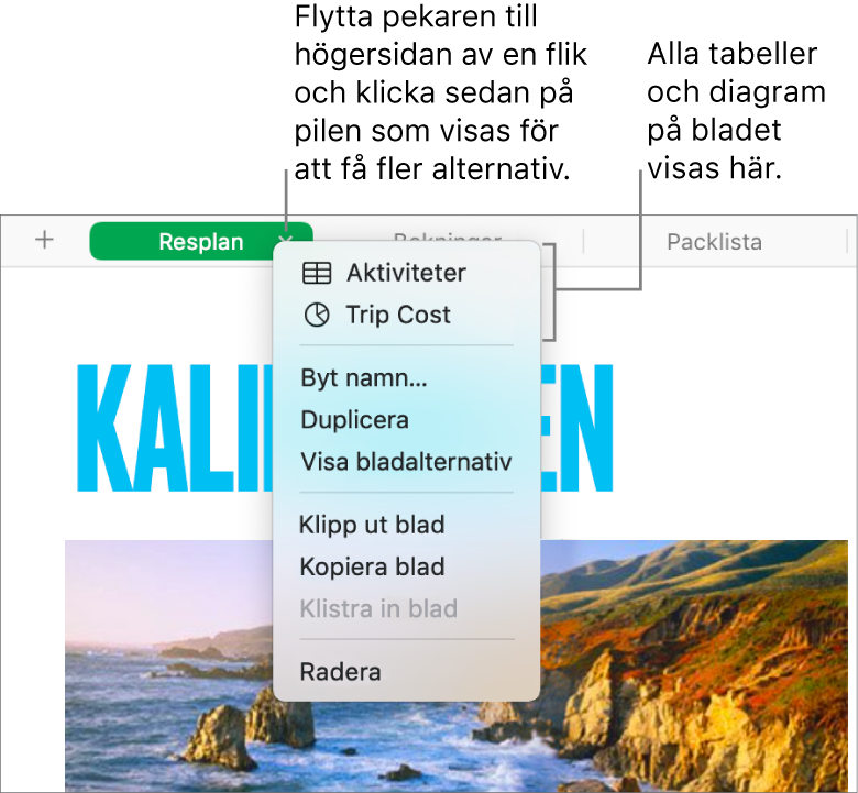 En kalkylbladsflik med kontextmenyn öppen, med bland annat alternativet Duplicera.