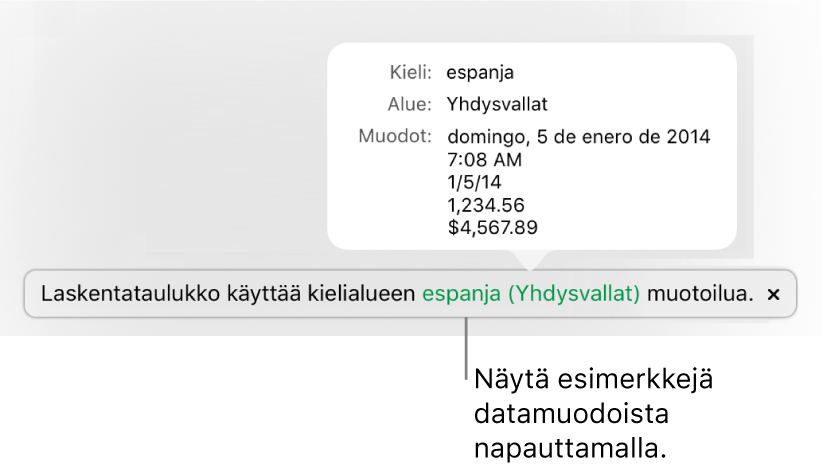Eri kieli- ja alueasetuksen ilmoitus, jossa on esimerkkejä kyseisen kielen ja alueen muotoilusta.