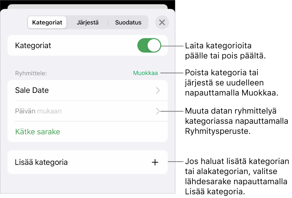 iPhonen kategoriavalikko, joka sisältää valinnat kategorioiden laittamiseksi pois päältä ja poistamiseksi, datan ryhmittämiseksi uudelleen, lähdesarakkeen kätkemiseksi ja kategorioiden lisäämiseksi.
