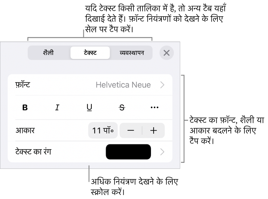 “फ़ॉर्मैट” मेनू में अनुच्छेद सेटिंग और वर्ण शैली, फ़ॉन्ट, आकार और रंग के लिए टेक्स्ट नियंत्रण।