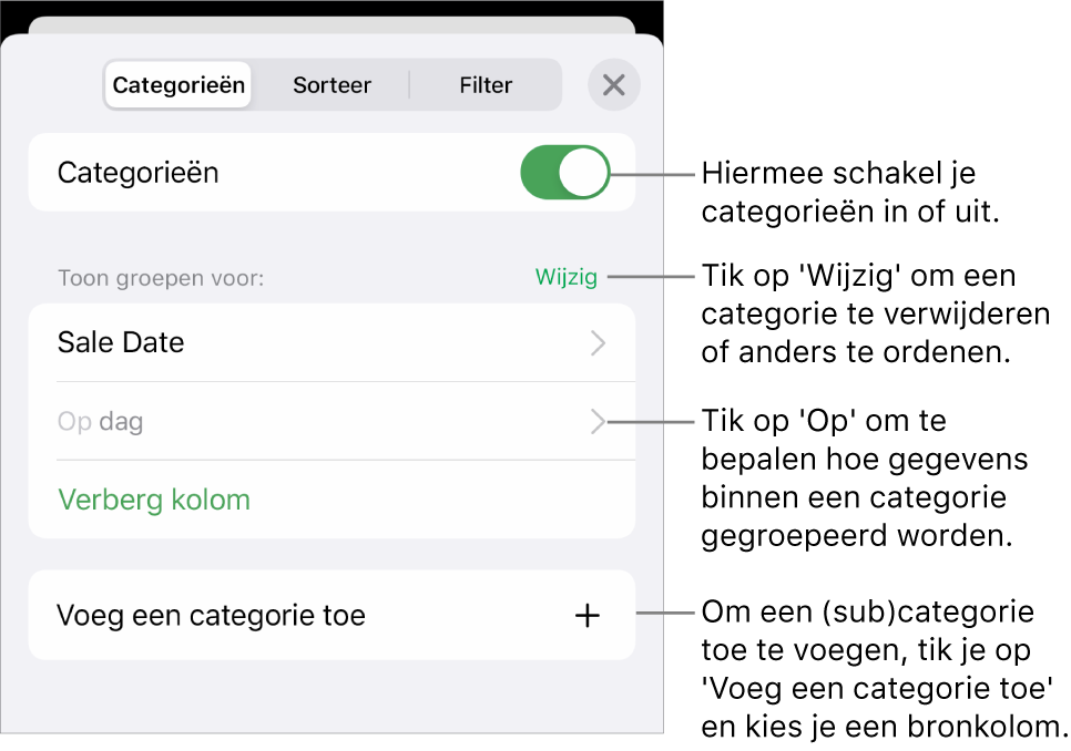 Het menu 'Categorieën' op de iPhone met de volgende opties: categorieën uitschakelen, categorieën verwijderen, gegevens anders groeperen, een bronkolom verbergen en categorieën toevoegen.