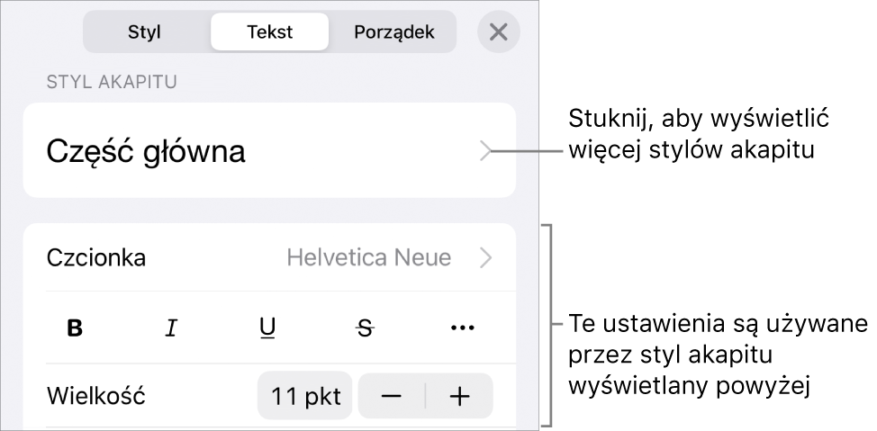 Menu Format z narzędziami tekstu pozwalającymi na ustawianie stylów akapitu, stylów znaków, czcionki, wielkości oraz koloru.