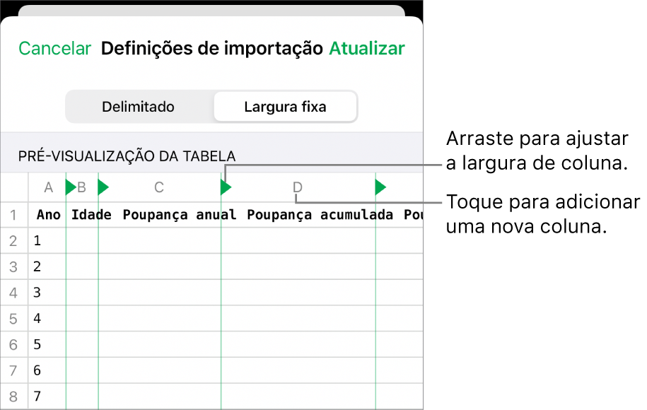 As definições de importação para um ficheiro de texto de largura fixa.