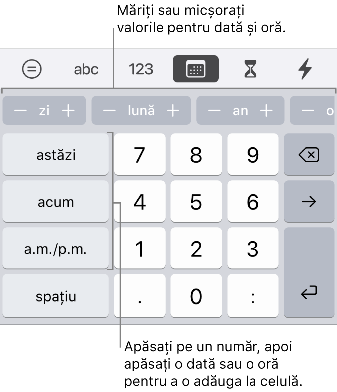 Tastatura dată și oră. Un rând de butoane de lângă partea de sus afișează unități de timp (lună, zi și an) pe care le puteți incrementa pentru a schimba valoarea afișată în celulă. Pe stânga se află tastele pentru astăzi, acum și AM/PM, iar în centrul tastaturii sunt taste numerice.