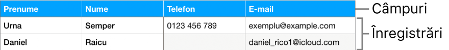 Un tabel configurat corect pentru a fi utilizat cu formulare, cu un rând de antet care include etichete de câmp și o listă de înregistrări afișând datele de contact pentru registre de echipe sportive.