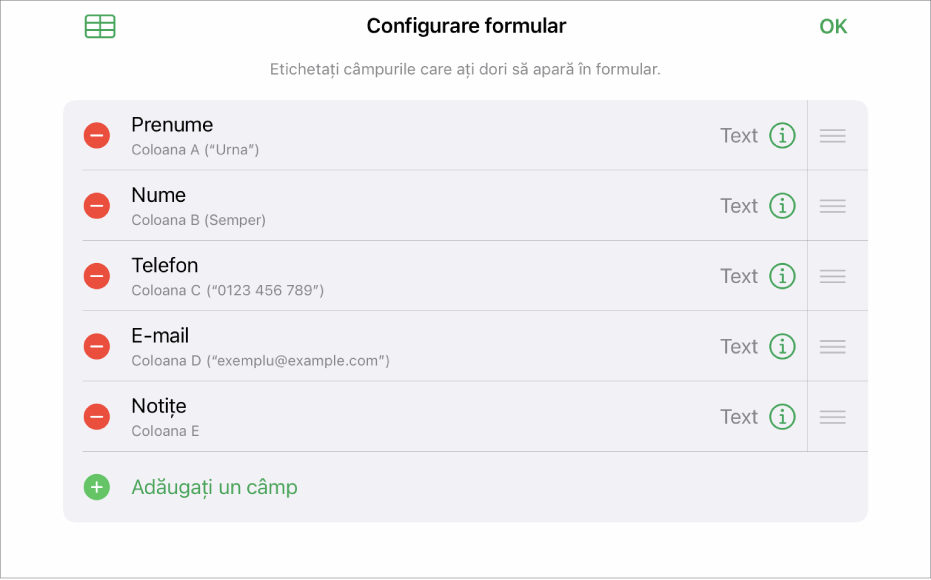 Modul de configurare a formularului, afișând opțiunile de adăugare, editare, reordonare și ștergere a câmpurilor, cât și pentru modificarea formatului câmpurilor (de exemplu, din Text în Procentaj).