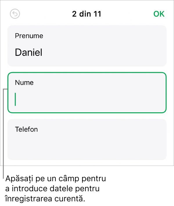 O înregistrare dintr-un formular afișând un câmp activ cu un punct de inserare.