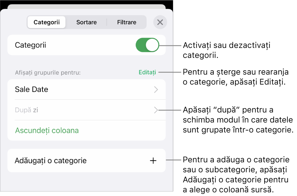 Meniu Categorii pentru iPhone cu opțiuni pentru a dezactiva categoriile, șterge categoriile, regrupa datele, ascunde o coloană sursă și a adăuga categorii.