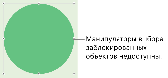 Закрепленный объект с недоступными манипуляторами выбора.