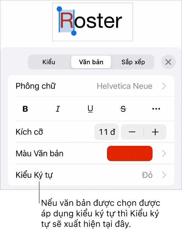 Các điều khiển định dạng Văn bản với Kiểu ký tự bên dưới các điều khiển Màu. Kiểu ký tự Không xuất hiện cùng với dấu hoa thị.