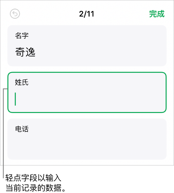 表单中的记录显示带插入点的活跃字段。
