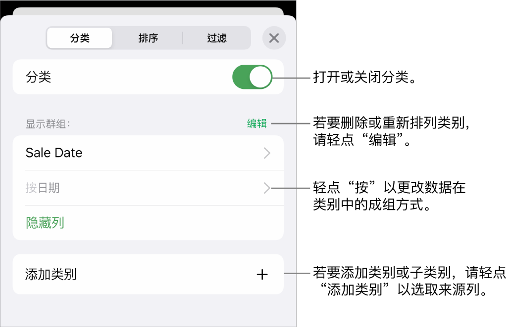 iPhone 上的“类别”菜单带有以下选项:关闭类别、删除类别、重新成组数据、隐藏来源列和添加类别。