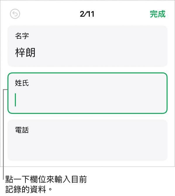 表單中的記錄,顯示一個包含插入點的活躍欄位。