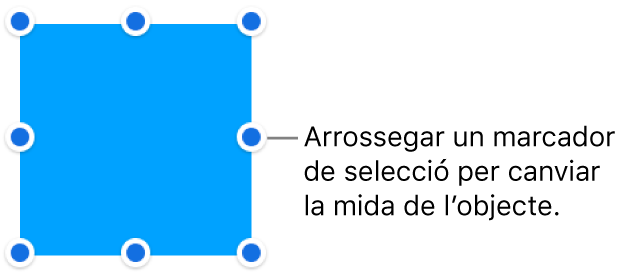 Un objecte amb punts blaus a la seva vora per canviar la mida de l’objecte.