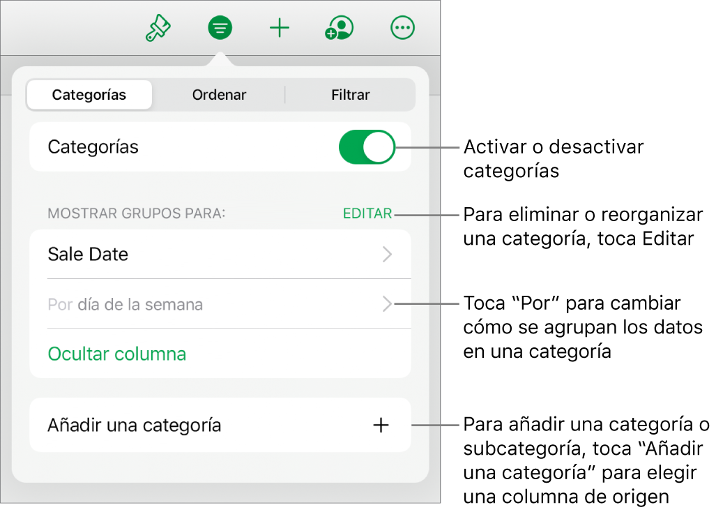 El menú Categorías para iPad con opciones para desactivar categorías, eliminar categorías, reagrupar datos, ocultar una columna de origen y añadir categorías.