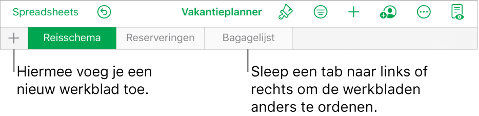 De tabbladbalk voor het toevoegen van een nieuw werkblad, het navigeren in werkbladen, het hernoemen en het opnieuw ordenen van werkbladen.