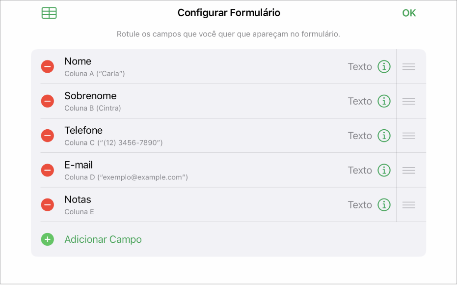 Modo de configuração do formulário, mostrando opções para adicionar, editar, reorganizar, apagar e alterar o formato dos campos (como de Texto para Porcentagem).