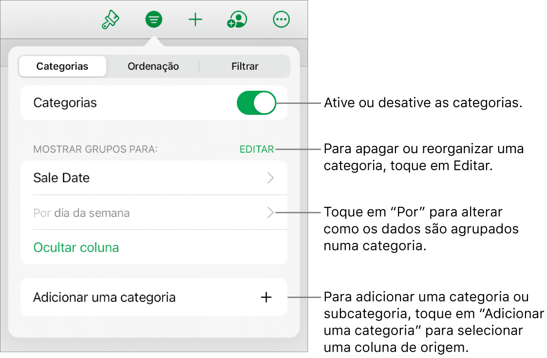 O menu Categorias para iPad com opções para desativar as categorias, apagar categorias, reagrupar dados, ocultar uma coluna de origem e adicionar categorias.