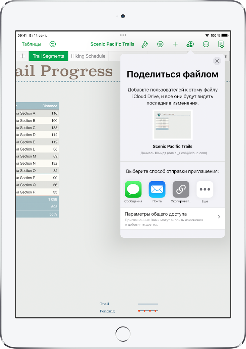 На экране «Добавить участников» показано изображение таблицы, к которой будет открыт доступ для других пользователей. Ниже расположены кнопки для приглашения других пользователей, в том числе «Почта», «Скопировать ссылку» и «Еще». Внизу находится кнопка «Параметры доступа».