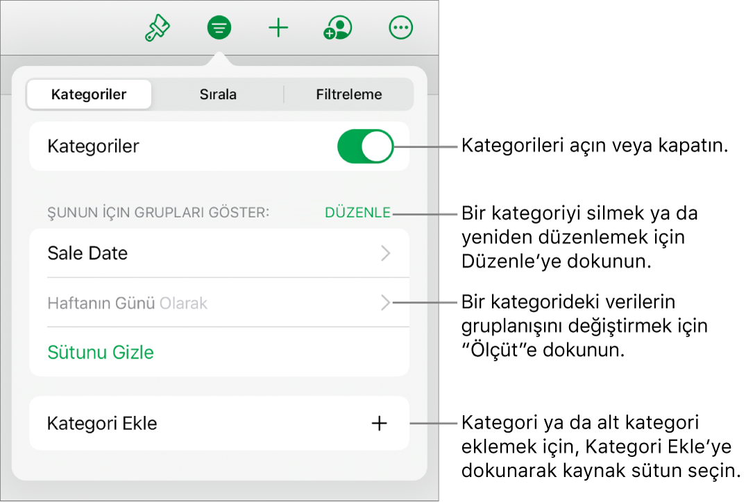 Kategorileri kapatma, kategorileri silme, verileri yeniden gruplama, kaynak sütunu gizleme ve kategori ekleme seçeneklerini içeren, iPad için Kategoriler menüsü.