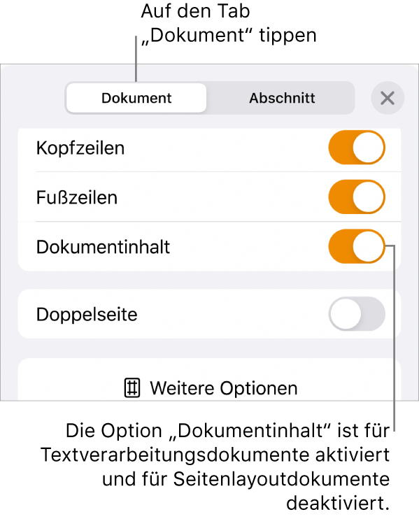 Die Steuerelemente für das Dokumentformat mit aktivierter Option „Dokumentinhalt“ unten auf dem Bildschirm.