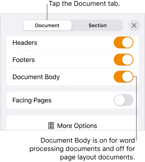 The Document format controls with Document Body turned on near the bottom of the screen.