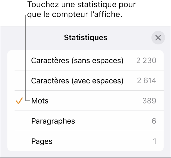 Menu Statistiques avec options d’affichage du nombre de caractères avec et sans espaces, du nombre de mots, du nombre de paragraphes et du nombre de pages.