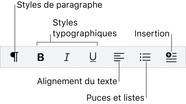 La barre des formats rapides qui présente des icônes pour les styles de paragraphes, les styles de caractères, l’alignement du texte, les puces et les listes ainsi que l’insertion d’éléments.