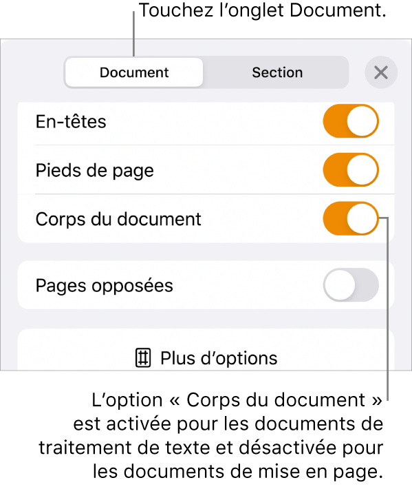 Les commandes de mise en forme de document avec l’option « Corps du document » activée vers le bas de l’écran.