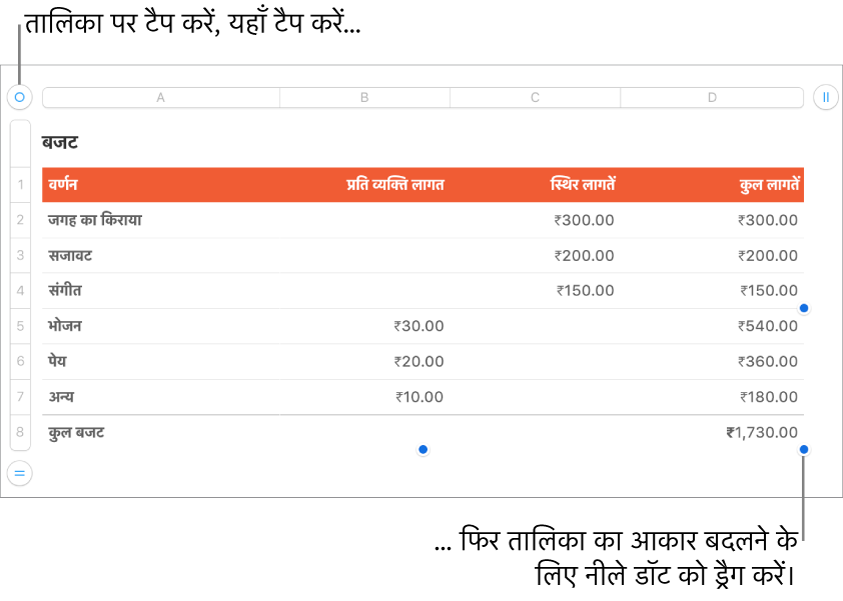 आकार बदलने के लिए नीले डॉट के साथ चयनित टेबल।