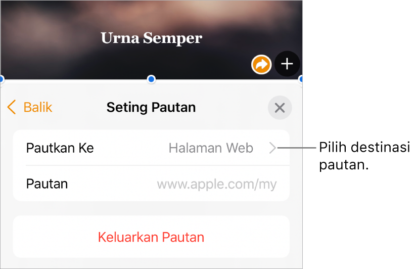 Kawalan Seting Pautan dengan medan Paparan, Pautan Ke (disetkan ke Halaman Web) dan medan Pautan. Butang Keluarkan Pautan berada di bahagian bawah kawalan.