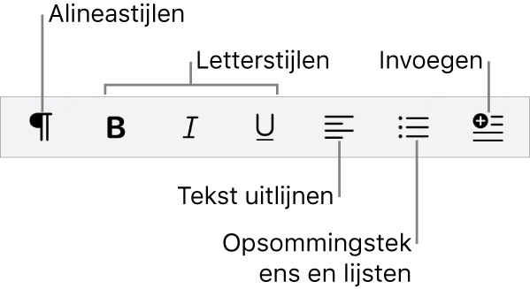 De snelle opmaakbalk met symbolen voor alineastijlen, letterstijlen, tekstuitlijning, opsommingstekens en lijsten, en het invoegen van elementen.