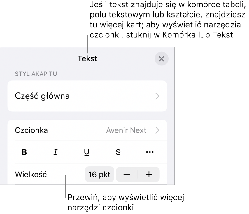 Narzędzia tekstów w menu Format służą do ustawiania stylów akapitu i znaków oraz czcionek ich wielkości i koloru.