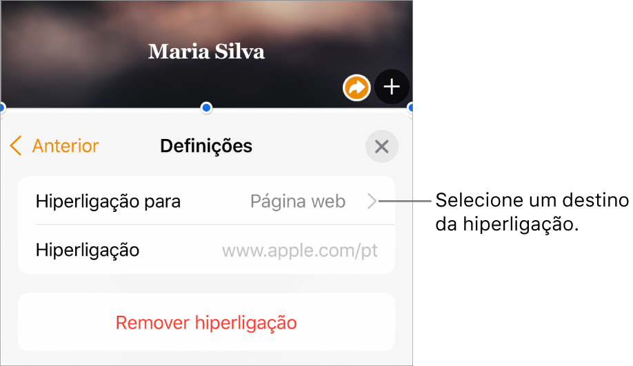 Os controlos de Definições, que contêm um campo Mostrar, Ligar a (definido para a página Web) e o campo Hiperligação. O botão Remover hiperligação encontra-se na parte inferior dos controlos.