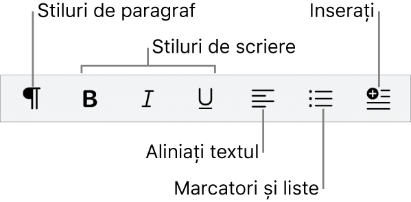 Bara de formatare rapidă prezentând pictogramele pentru stilurile de paragraf, stilurile de font, alinierea textului, marcatori și liste și inserarea elementelor.