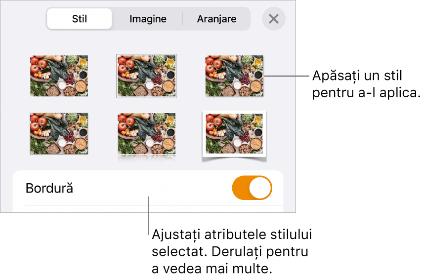 Fila Stil a meniului Format cu stilurile de obiect în partea de sus și o comandă sub acestea pentru modificarea bordurii.